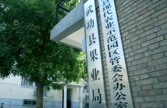 豪门国际官方网站图片