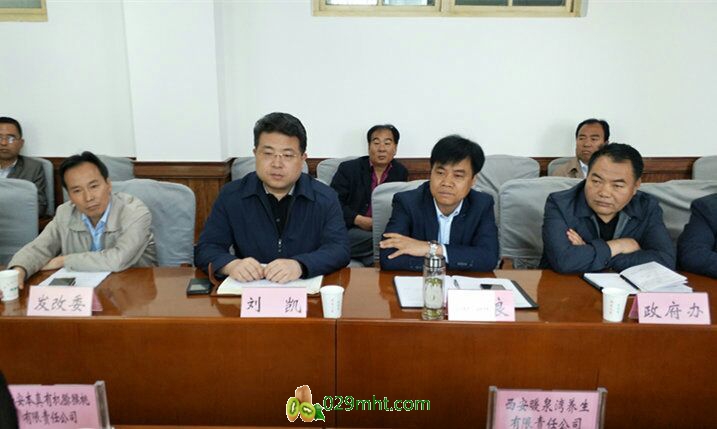 豪门国际官方网站图片