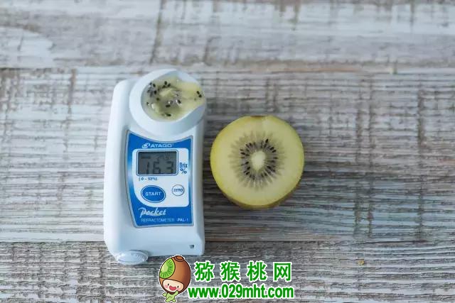 豪门国际官方网站图片
