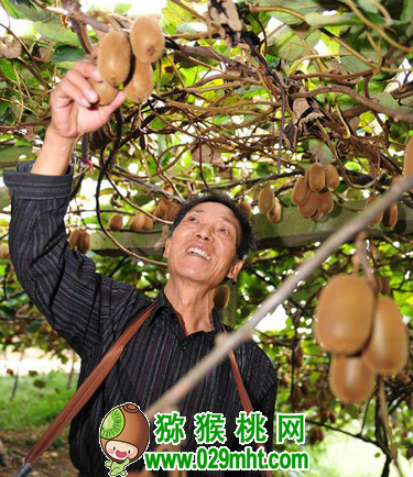 豪门国际官方网站图片