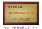 “豪门国际之乡”周至豪门国际猕猴桃获取荣誉