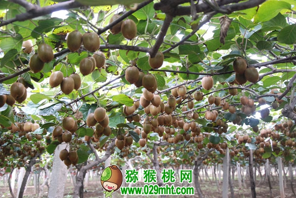 豪门国际官方网站图片