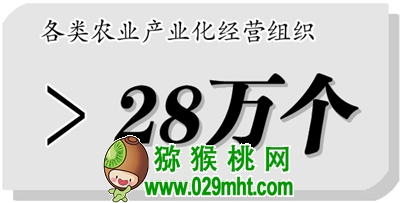 豪门国际 b39cc