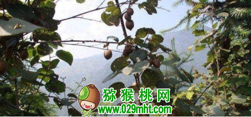 豪门国际官方网站图片