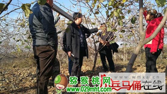 豪门国际官方网站图片