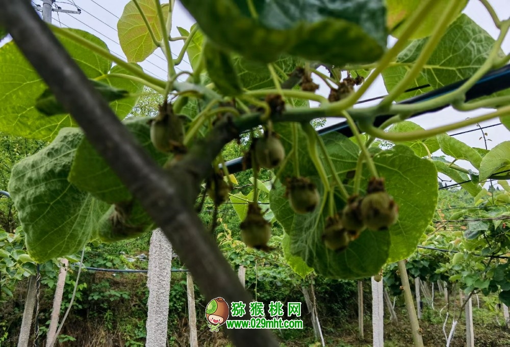 豪门国际官方网站图片
