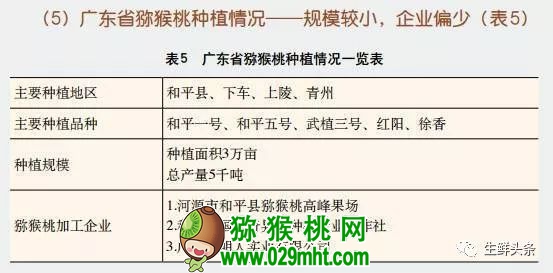 豪门国际 05754