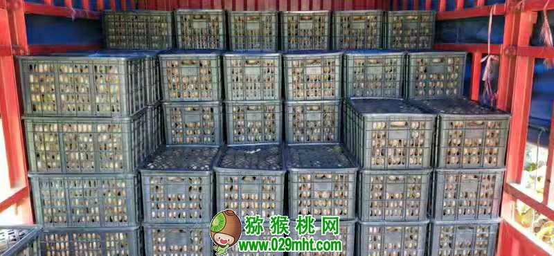 豪门国际 90b42