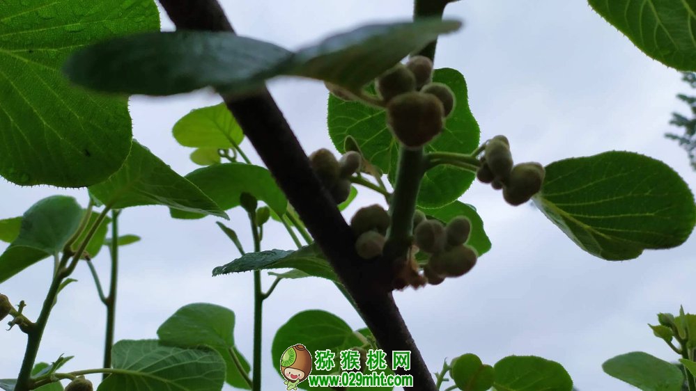 豪门国际 49ddb