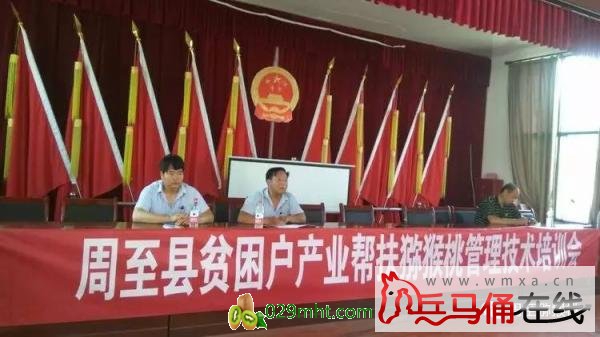 豪门国际官方网站图片