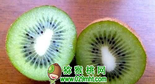 豪门国际官方网站图片