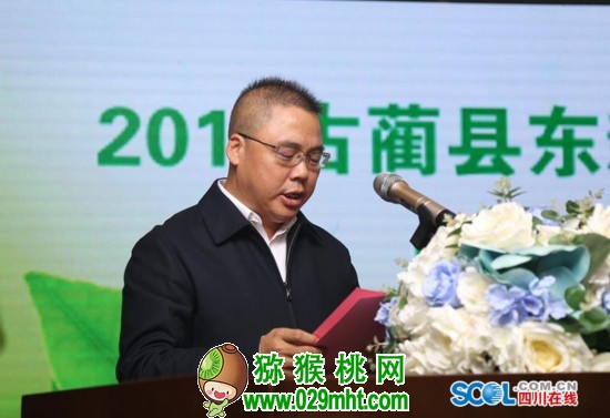 豪门国际官方网站图片
