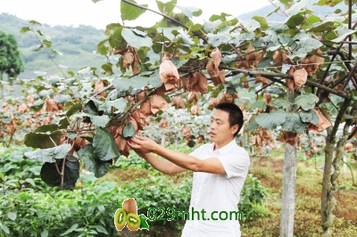 豪门国际官方网站图片