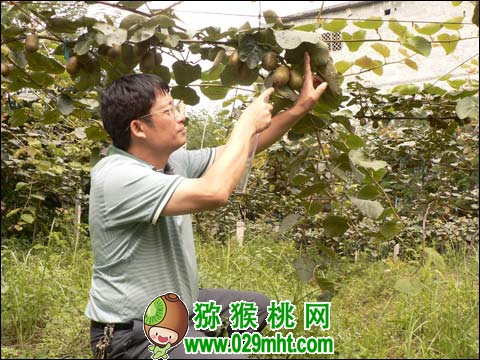 豪门国际官方网站图片