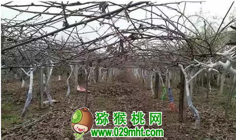 豪门国际官方网站图片