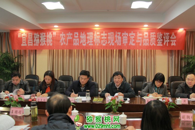 豪门国际官方网站图片