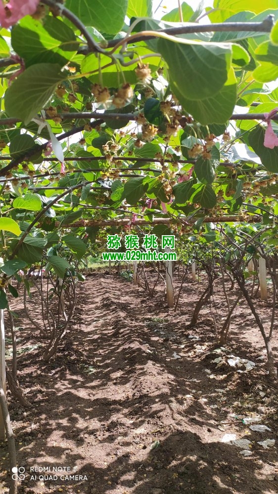 豪门国际 91fa9