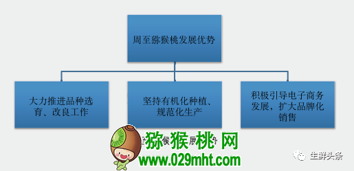 豪门国际 1411c