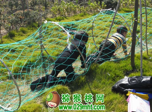 豪门国际官方网站图片