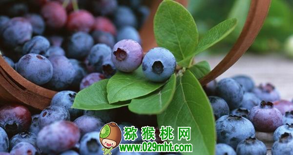 豪门国际官方网站图片