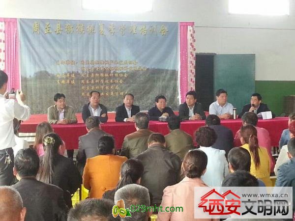 豪门国际官方网站图片