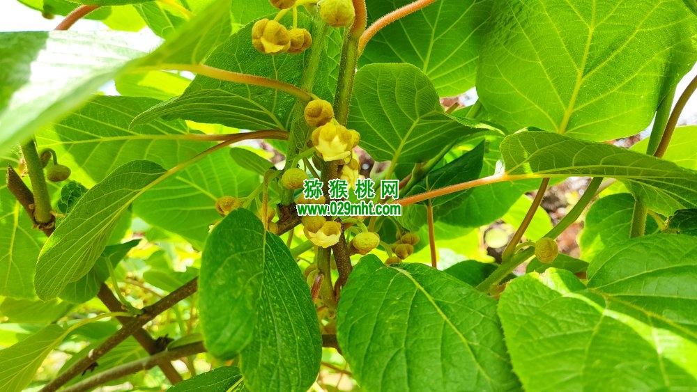 豪门国际 58aa9