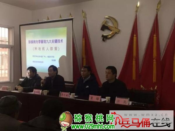 豪门国际官方网站图片