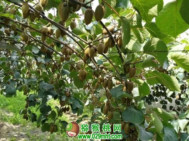 豪门国际官方网站图片
