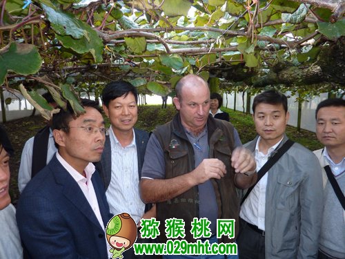 豪门国际 05392