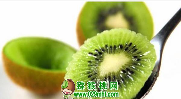 豪门国际官方网站图片