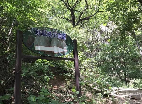 豪门国际官方网站图片