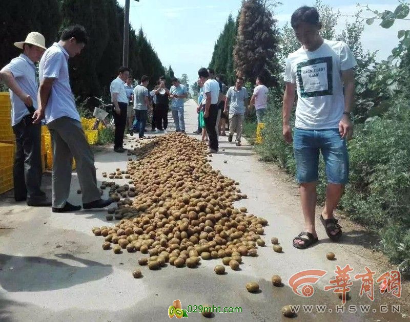 豪门国际官方网站图片