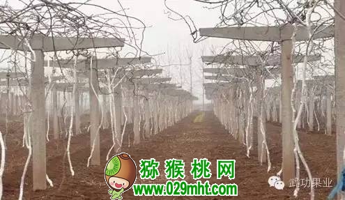 豪门国际官方网站图片