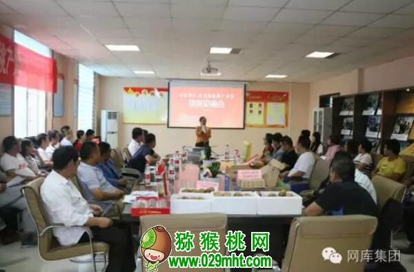 豪门国际官方网站图片