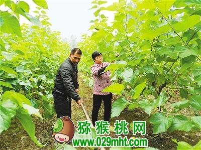 豪门国际官方网站图片