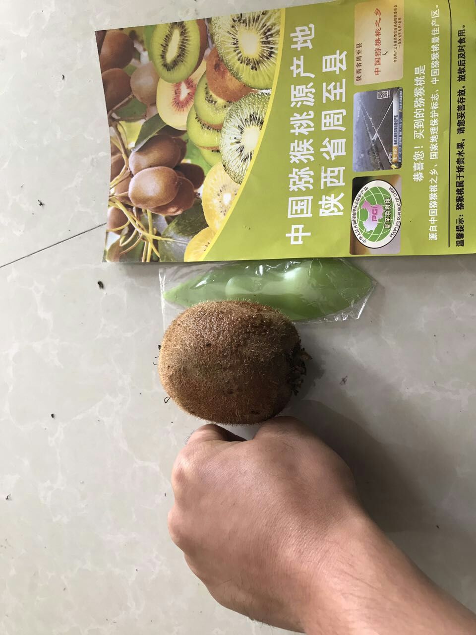 豪门国际 360dc