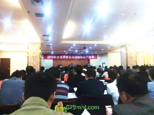 豪门国际官方网站图片