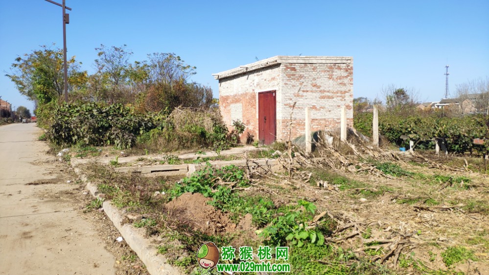 豪门国际 9b297