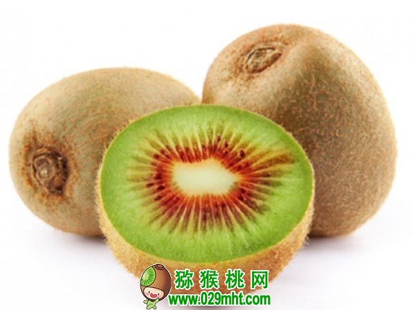 豪门国际 4045d