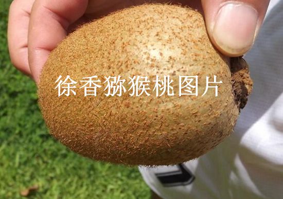 豪门国际官方网站图片