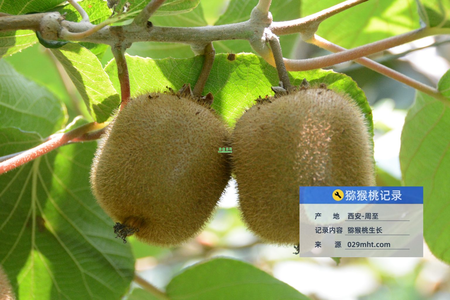 豪门国际 9b55a