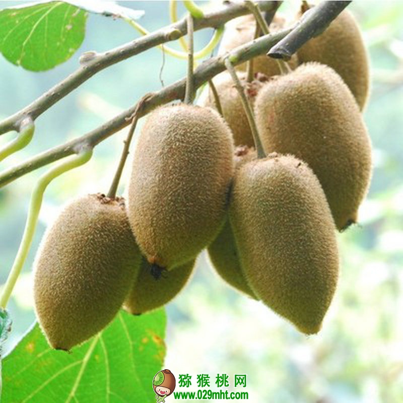 豪门国际官方网站图片