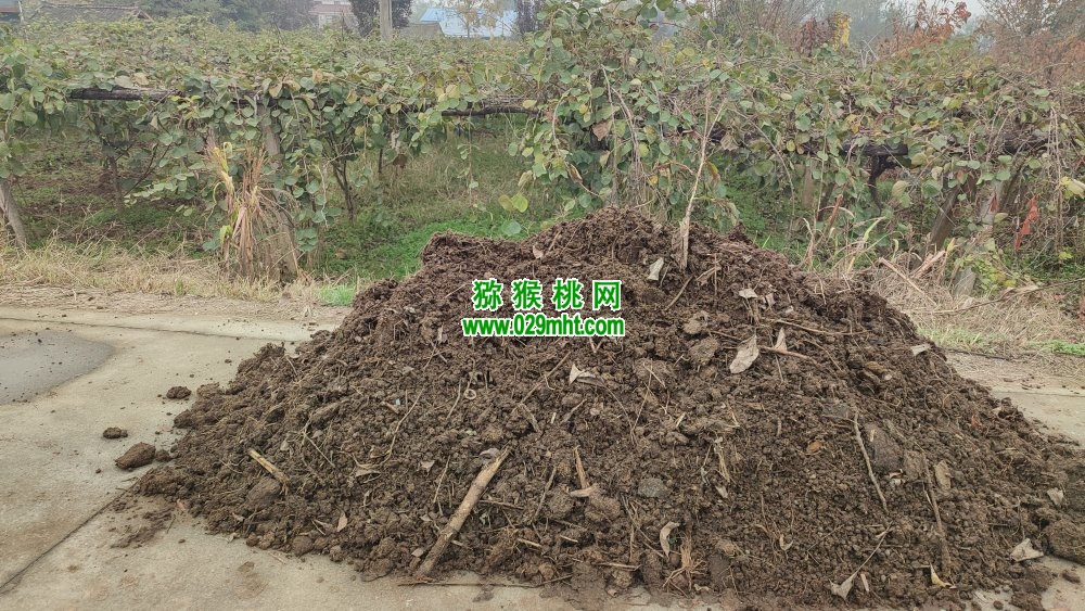豪门国际 b53e8