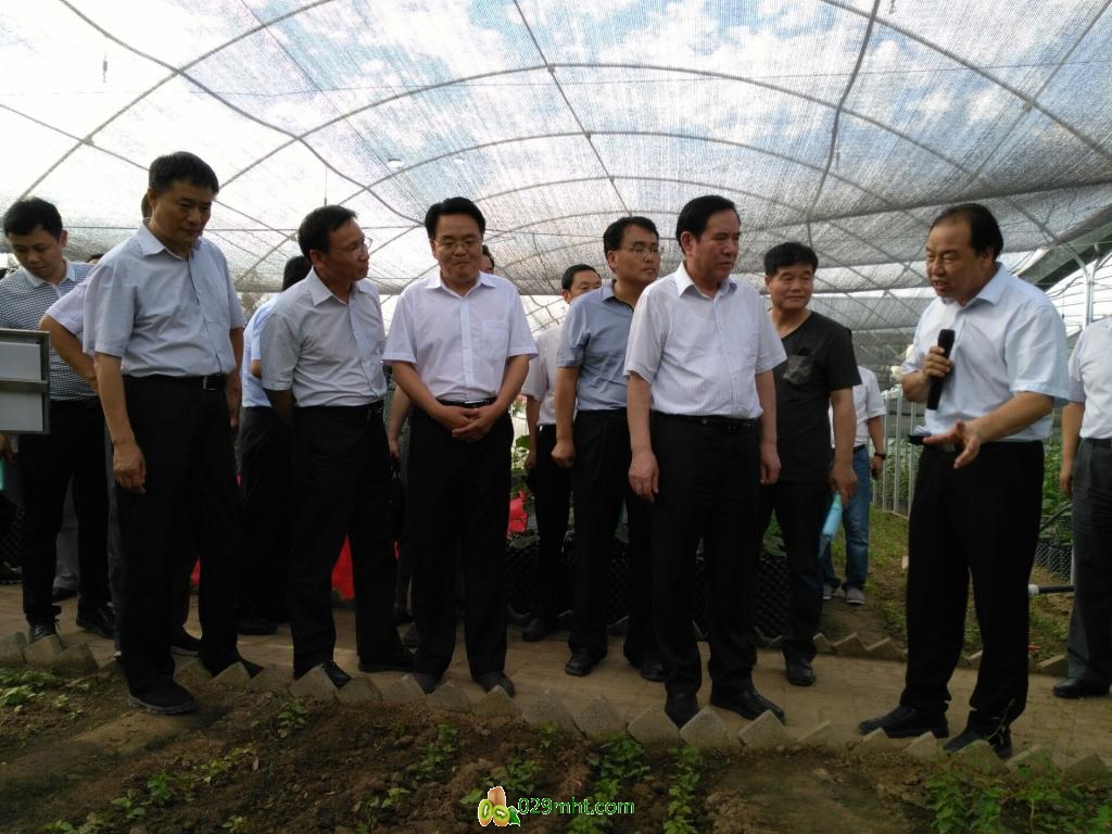 豪门国际官方网站图片