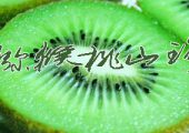 眉县豪门国际猕猴桃怎么样？