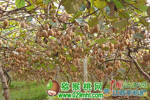 豪门国际官方网站图片