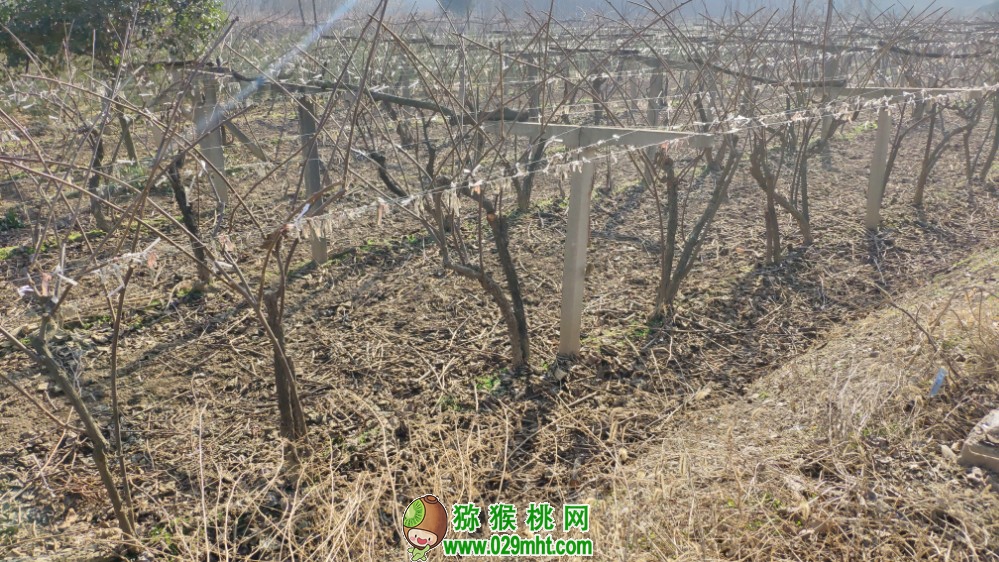 豪门国际 20c34