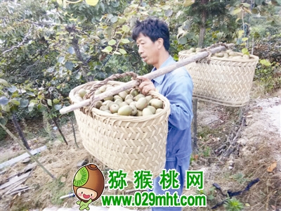 豪门国际官方网站图片
