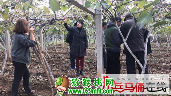 豪门国际官方网站图片