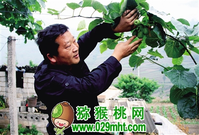 豪门国际官方网站图片